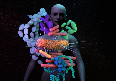 Collection of microbes superimposed over a human illustration.